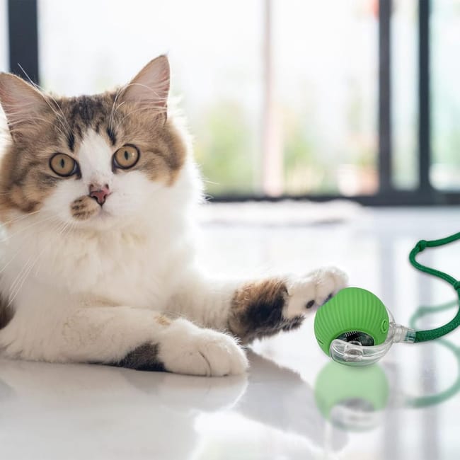 PELOTA GIRATORIA 30%OFF